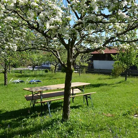 Haus Eisenberger-Privates Apartmenthaus *
