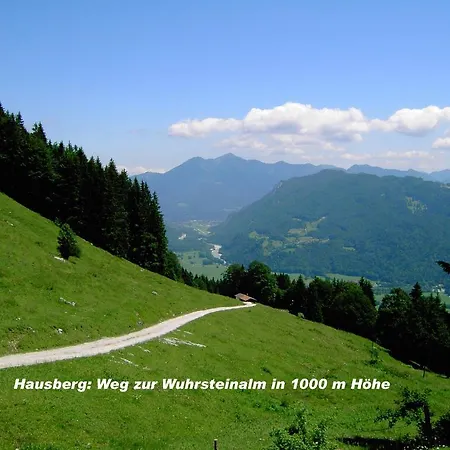 Haus Eisenberger-Privates Apartmenthaus Lägenhet